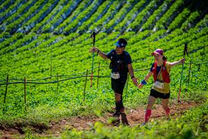 BIB: 1960
                            <button type="button" onclick="openModal(19163046)" class="btn btn-primary btn-sm float-right btn-popup" data-toggle="modal" data-target=".modal-high-quality">
                        <i class="fas fa-shopping-cart"></i> Add to Cart
                    </button>
                                            <button type="button" onclick="isThisMe(19163046, true)" class="btn btn-success btn-sm float-right btn-popup btn-isme hidden" data-toggle="tooltip" data-placement="bottom" title="นี่คือรูปของคุณใช่ไหม คลิกที่นี่เพื่อเอาเข้าอัลบั้ม">
                        <i class="fas fa-plus"></i> Add to album
                    </button>
                    <button type="button" onclick="isThisMe(19163046, false)" class="btn btn-warning btn-sm float-right btn-popup btn-isnotme hidden">
                        <i class="fas fa-ban"></i> Remove from album
                    </button>